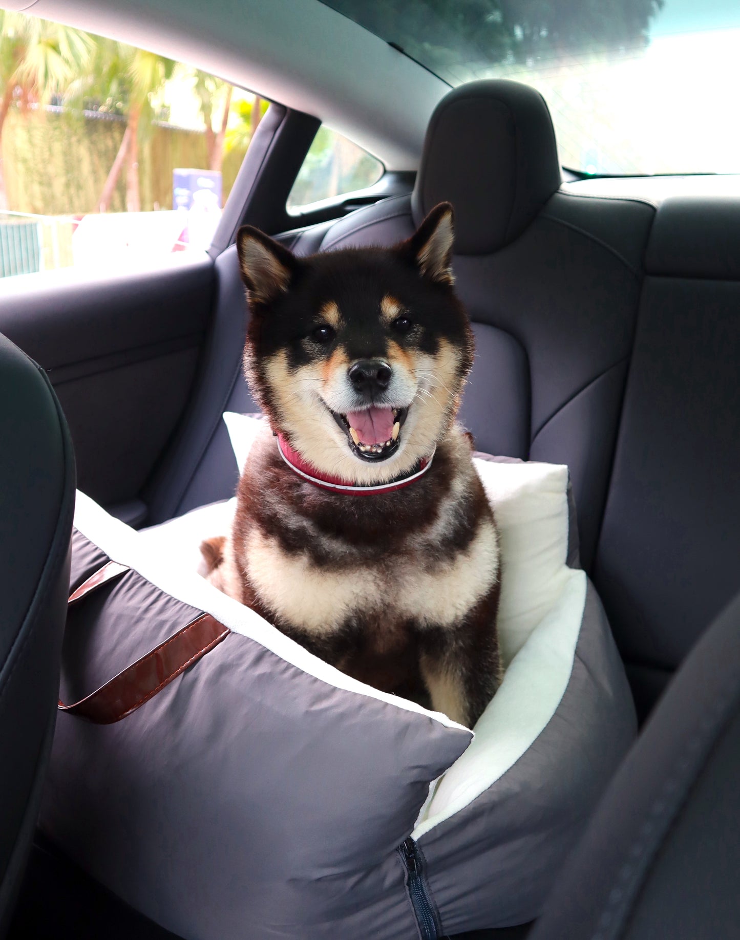 Paws-On-The-Go Pet Car Seat Carrier Bed