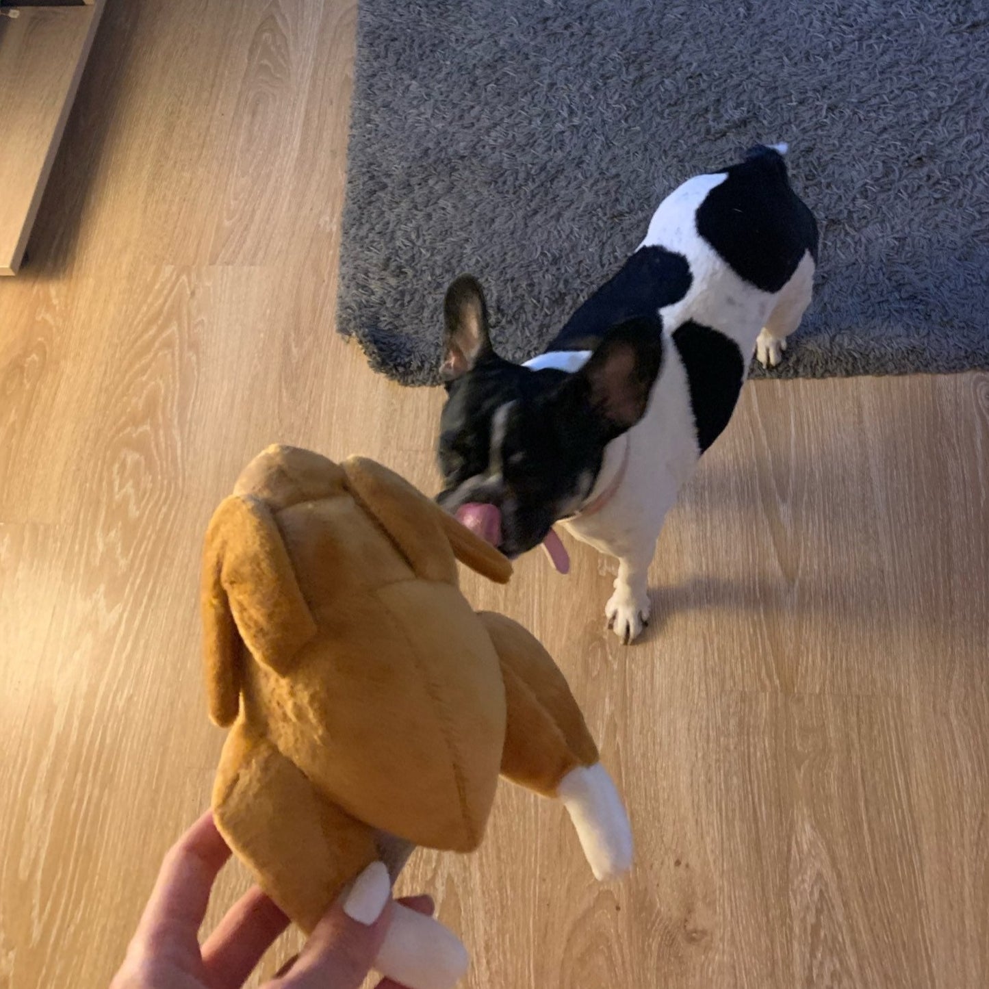 Celebrations Collection | Roast Chicken Dog Toy