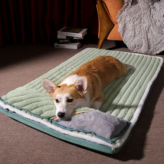 Green Soft Padded Dog Bed with Side Pillow