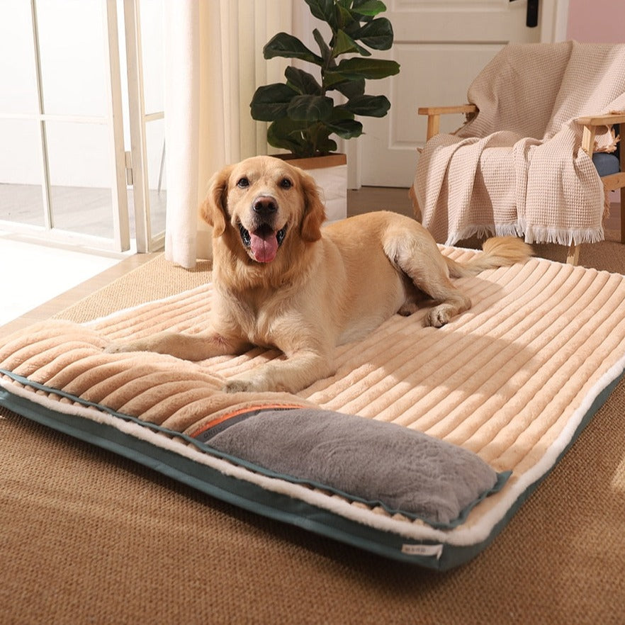 Orange Soft Padded Dog Bed with Side Pillow